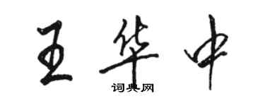 骆恒光王华中行书个性签名怎么写