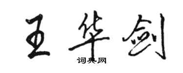 骆恒光王华剑行书个性签名怎么写