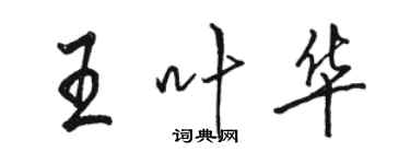 骆恒光王叶华行书个性签名怎么写