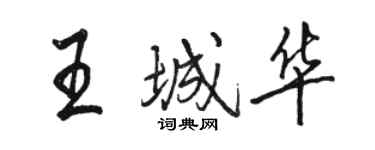骆恒光王城华行书个性签名怎么写