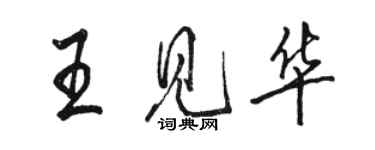 骆恒光王见华行书个性签名怎么写
