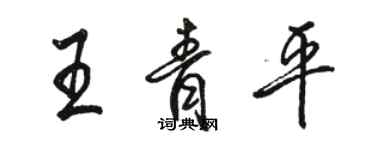 骆恒光王青平行书个性签名怎么写