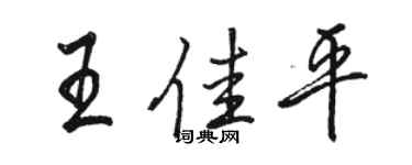 骆恒光王佳平行书个性签名怎么写