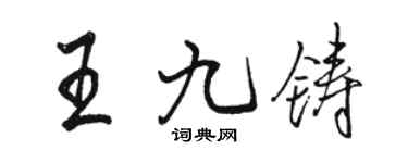 骆恒光王九铸行书个性签名怎么写