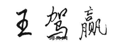 骆恒光王驾赢行书个性签名怎么写