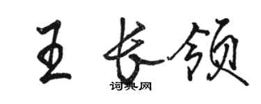 骆恒光王长领行书个性签名怎么写