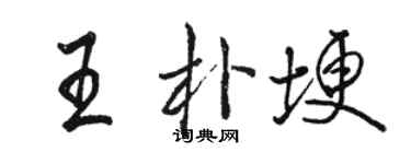 骆恒光王朴埂行书个性签名怎么写
