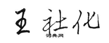 骆恒光王社化行书个性签名怎么写