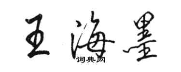 骆恒光王海墨行书个性签名怎么写