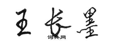 骆恒光王长墨行书个性签名怎么写