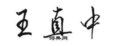 骆恒光王直中行书个性签名怎么写