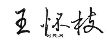 骆恒光王怀枝行书个性签名怎么写