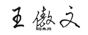 骆恒光王傲文行书个性签名怎么写