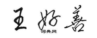 骆恒光王好善行书个性签名怎么写