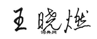 骆恒光王晓燃行书个性签名怎么写