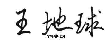 骆恒光王地球行书个性签名怎么写