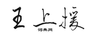 骆恒光王上援行书个性签名怎么写