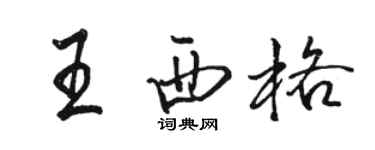 骆恒光王西格行书个性签名怎么写