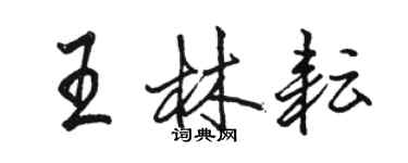 骆恒光王林耘行书个性签名怎么写