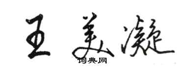 骆恒光王美凝行书个性签名怎么写