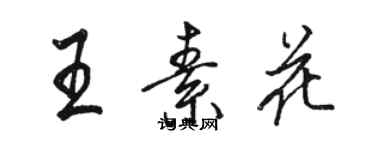 骆恒光王素花行书个性签名怎么写
