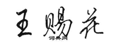 骆恒光王赐花行书个性签名怎么写