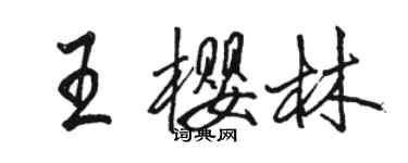 骆恒光王樱林行书个性签名怎么写