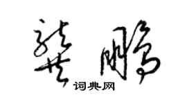 梁锦英龚鹏草书个性签名怎么写