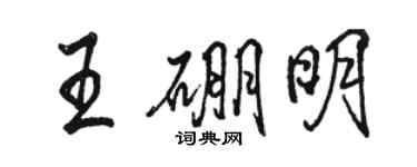 骆恒光王硼明行书个性签名怎么写