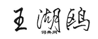 骆恒光王湖鸥行书个性签名怎么写