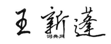骆恒光王新蓬行书个性签名怎么写