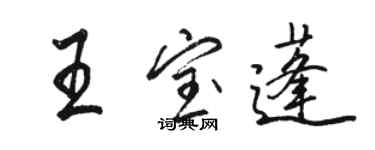 骆恒光王宝蓬行书个性签名怎么写