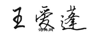 骆恒光王爱蓬行书个性签名怎么写