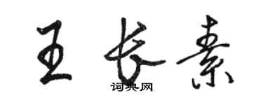 骆恒光王长素行书个性签名怎么写