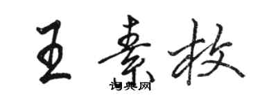 骆恒光王素枚行书个性签名怎么写