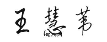 骆恒光王慧苇行书个性签名怎么写