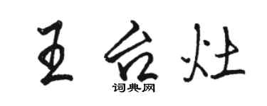 骆恒光王台灶行书个性签名怎么写