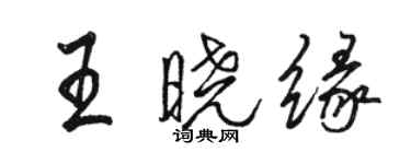 骆恒光王晓缘行书个性签名怎么写