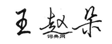 骆恒光王赵朵行书个性签名怎么写