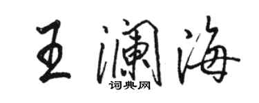 骆恒光王澜海行书个性签名怎么写