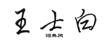 骆恒光王士白行书个性签名怎么写