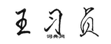 骆恒光王习贞行书个性签名怎么写