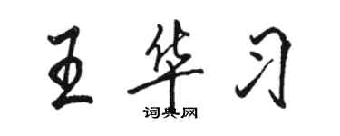 骆恒光王华习行书个性签名怎么写