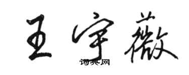 骆恒光王宇薇行书个性签名怎么写