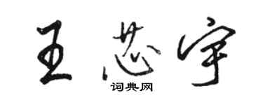 骆恒光王芯宇行书个性签名怎么写