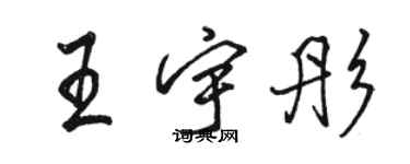 骆恒光王宇彤行书个性签名怎么写