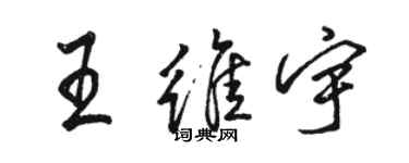 骆恒光王维宇行书个性签名怎么写