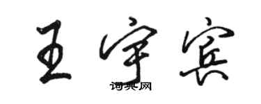 骆恒光王宇宾行书个性签名怎么写