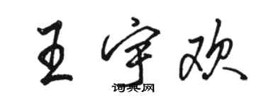 骆恒光王宇欢行书个性签名怎么写