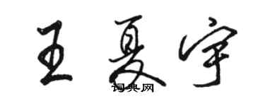 骆恒光王夏宇行书个性签名怎么写